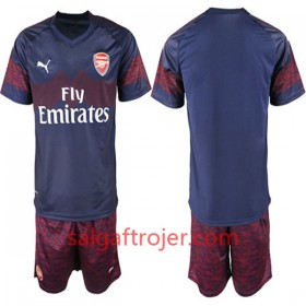 Arsenal Fodboldtrøjer Børn Udebanesæt 2018/19 Kort ærmer